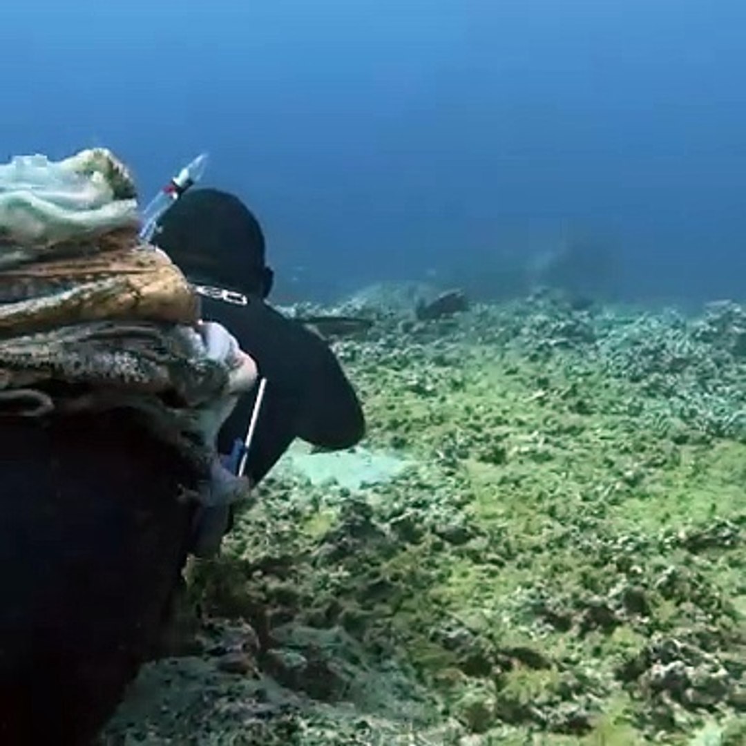 ⁣Professional Octopus Hunters