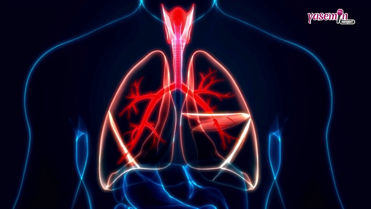 Beyaz Akciğer Sendromu nedir ve belirtileri nelerdir? Beyaz Akciğer Sendromu tedavisi nedir?