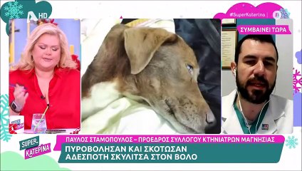 «Δεν μπορώ να συνεχίσω, συγνώμη» - Σοκαρισμένη η Κατερίνα Καινούργιου