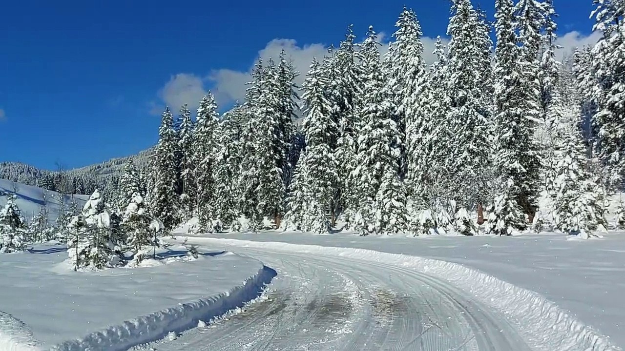 Schneelandschaft am Hochmoor in Mittersill