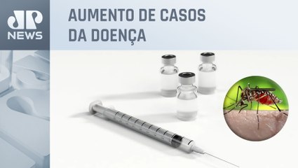 Consulta pública discute vacina contra dengue no SUS