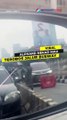 Viral Alphard Nekat Mau Terobos Jalur Busway