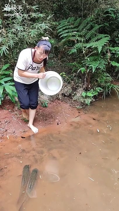 This is a cat fish in a pond