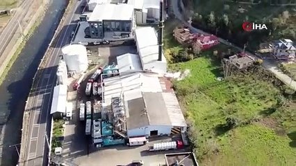 Bu ilçe hamsi kokuyor