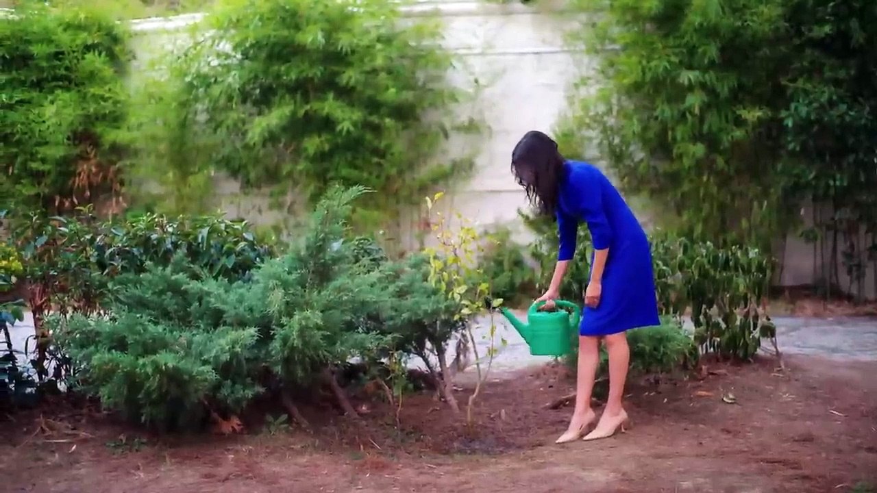 Esaret 223. Bölüm _ Redemption Episode 223 Dailymotion Video