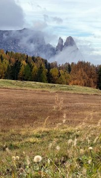 magnifique journée d’automne dans l’un des plus grands alpes d’europe : alpe di siusi, Italie