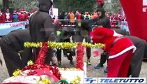 Video News - TORNA LA BABBO RUNNING