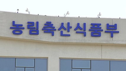 정부 "인산암모늄 재고 4만 톤...내년 5월까지 공급 가능" / YTN