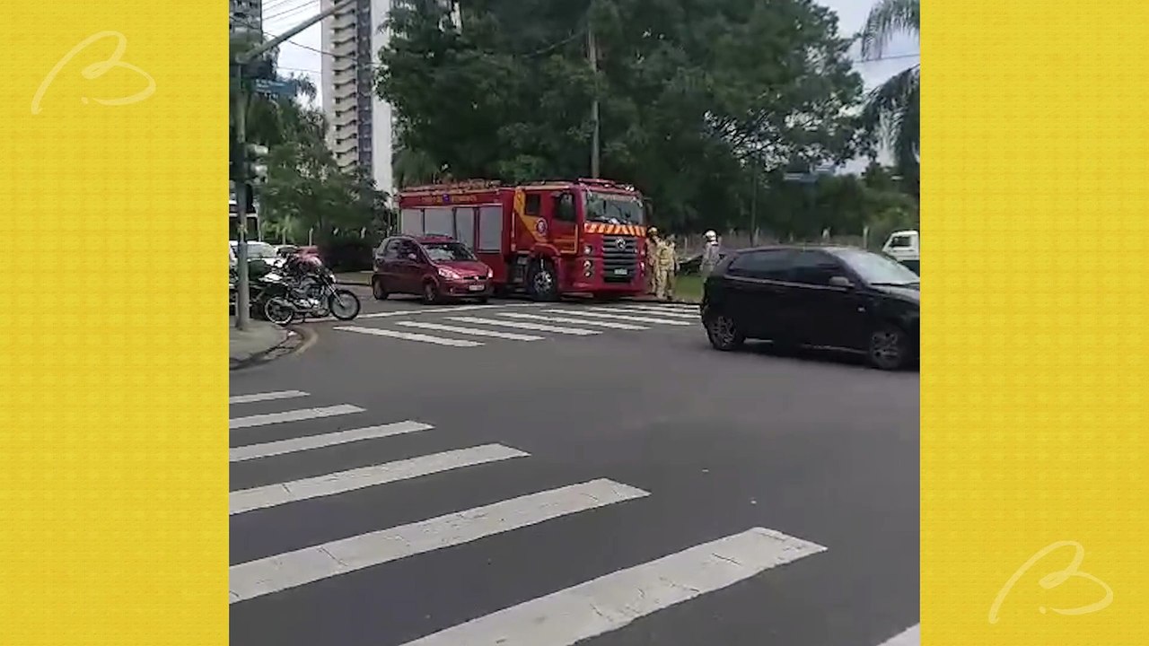 Ataque de abelhas assusta moradores no Cristo Rei