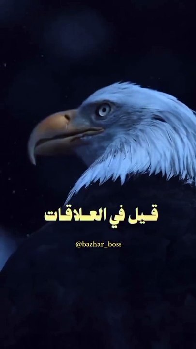 قيل في العلاقات_ علم النفس_ التنمية الذاتية_ علم الإجتماع