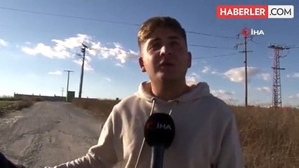 Edirne'de binlerce sığırcık kuşu köyü kapladı