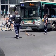 Ces policiers escortent une famille… de canards