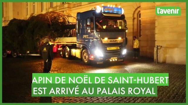 Le sapin de Saint-Hubert est arrivé au Palais royal de Bruxelles