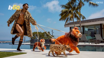 This Dog Groomer Has Gone Totally Crazy With His Designs