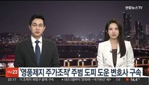 '영풍제지 주가조작' 주범 도피 도운 변호사 구속