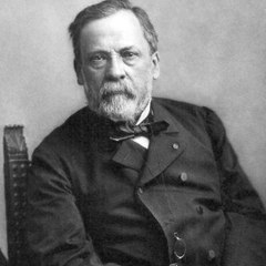 3 choses méconnues que l’on doit à Pasteur