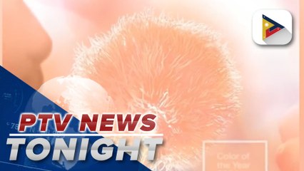 Peach Fuzz is Pantone’s Color of the Year for 2024