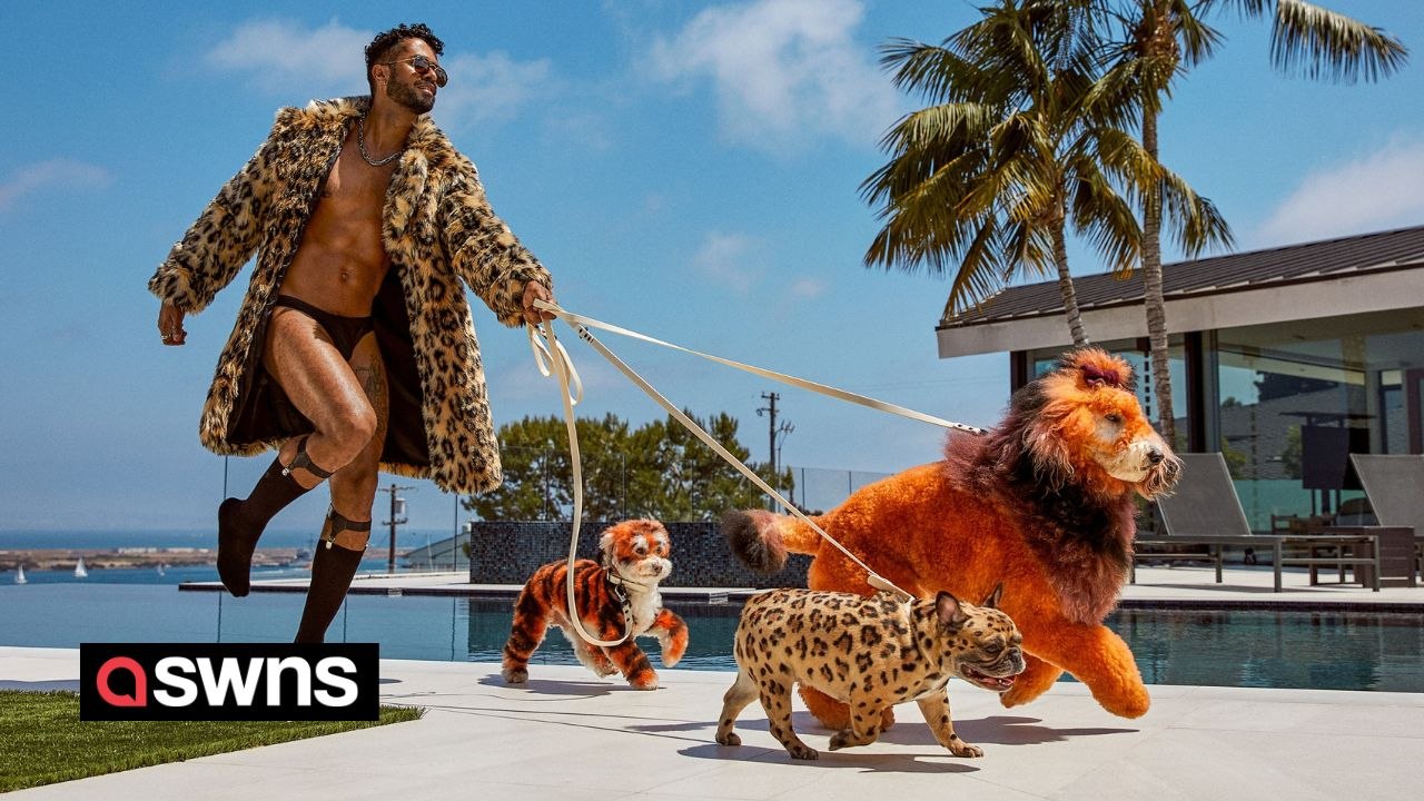 Dog groomer "I make 1.3mayear transforming pooches into foxes