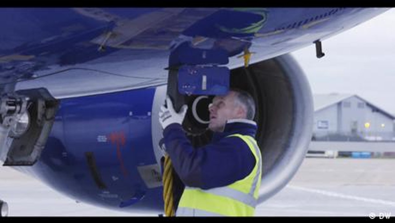 Bedenklicher Biosprit: Fliegen mit Schweinefett