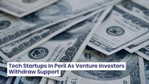 Tech Startups In Peril As Venture Investors Withdraw Support