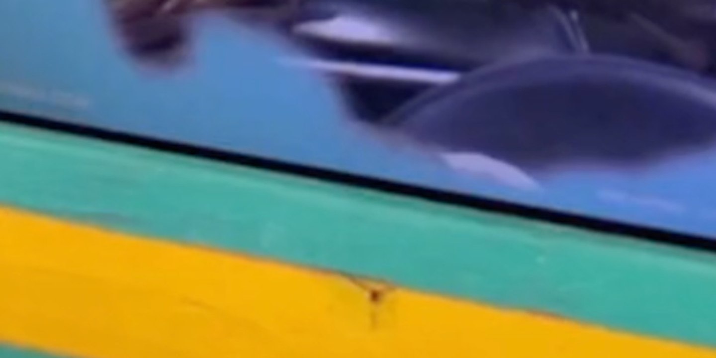 Benzema et son amour doré : Un bel hommage à Jordan, sa compagne, à Jeddah