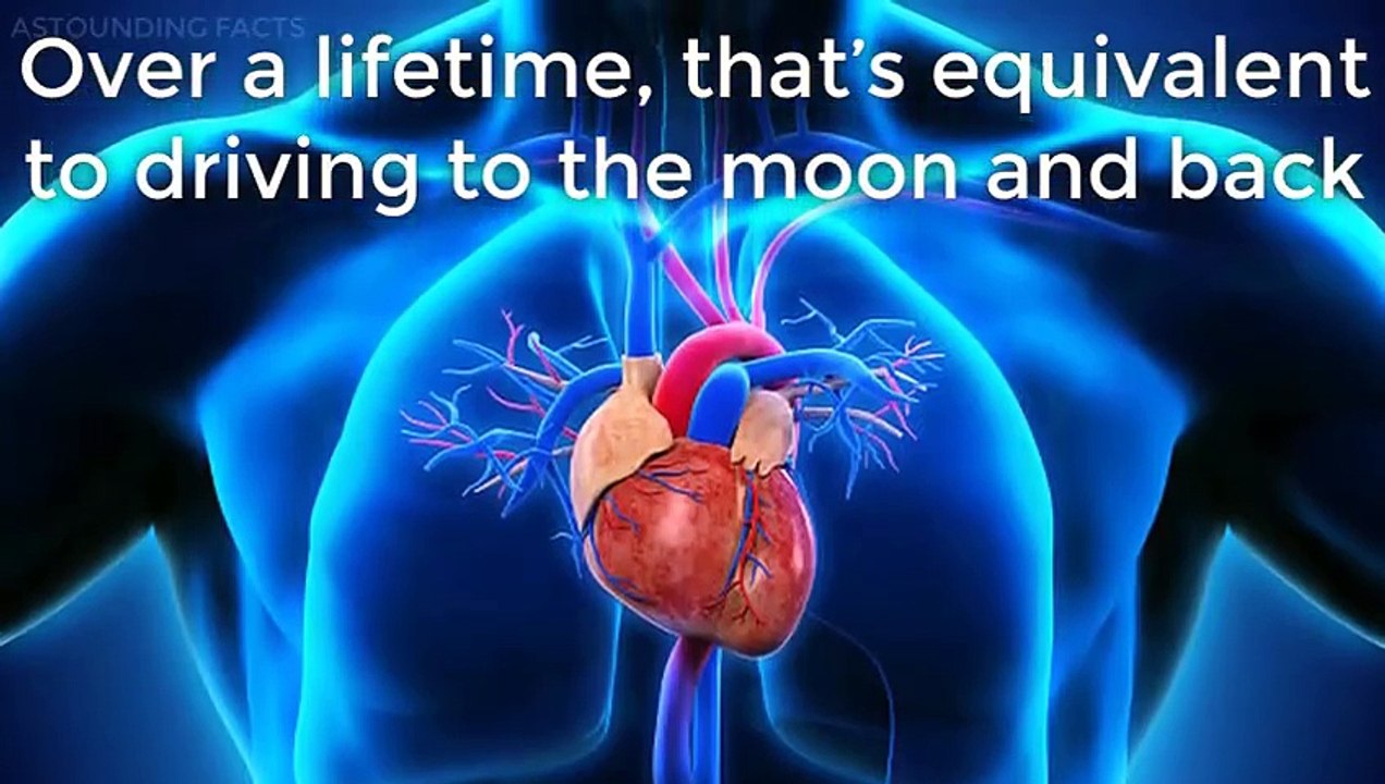 10 Amazing Facts About Human Body You Don't Know About - Astounding Facts