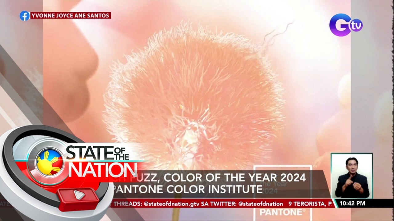 Peach Fuzz, Color of the Year 2024 ng Pantone Color Institute | SONA