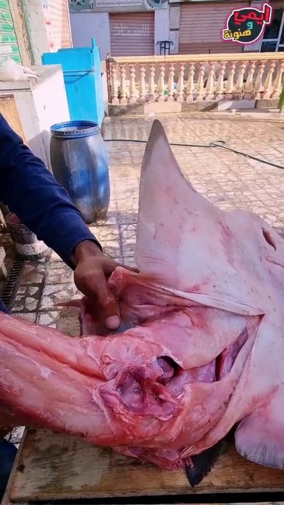 طريقة اعداد وتجهيز سمكة الشبيني باحترافية