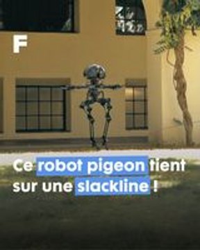 Léonardo, la fusion innovante entre un robot oiseau et un drone !