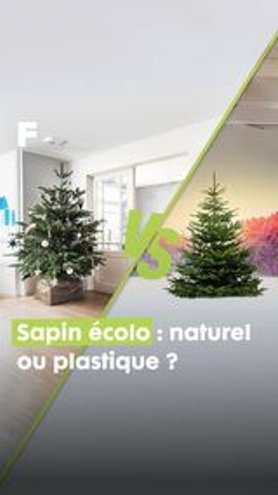 Sapin Naturel vs. Plastique : le duel écolo | Décryptage du choix parfait pour un noël vert !