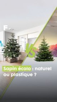 Sapin Naturel vs. Plastique : le duel écolo | Décryptage du choix parfait pour un noël vert !