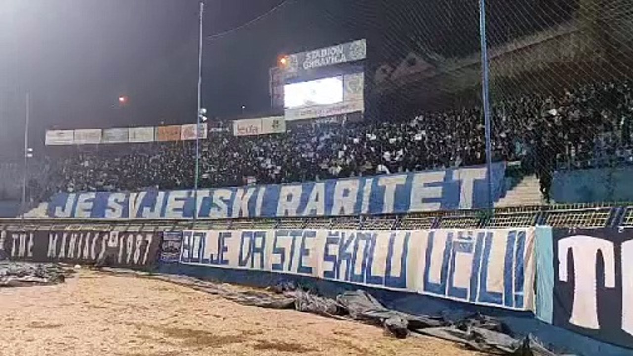 sdsa