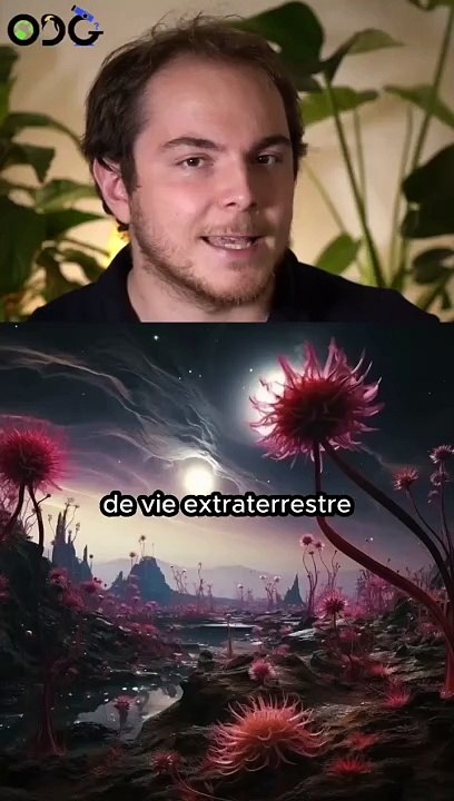 Le fait le plus triste de l’univers !