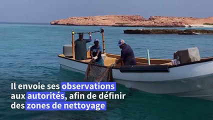 Des plongeurs bénévoles, sentinelles du récif corallien d'Oman