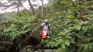 ⚙️ Soc Son Jungle Track ⚙️ Vietnam Motorbike Tours #vietnam #motorcycle #motorbike #tours #wayoflife