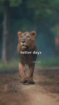 better days are coming - be patient - no regrets in life - just lessons learned #motivationalspeech