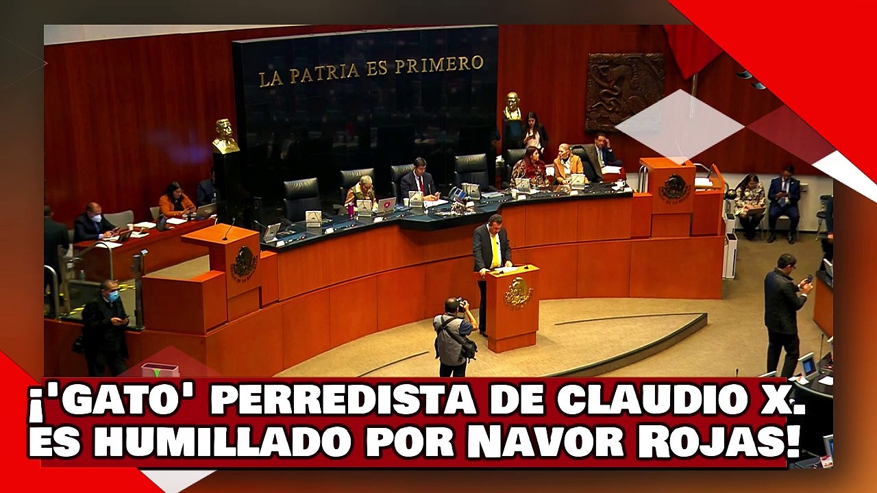 ¡VEAN! ¡’esclavo’ perredista del Sr. X. es humillado por morena por atacar terna a la corte de AMLO!