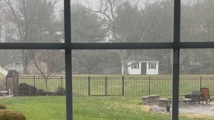 First snow of the year - just flurries