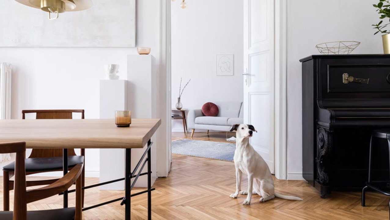 Natural Wood Tones Are Trending: Here's How to Incorporate the Material
