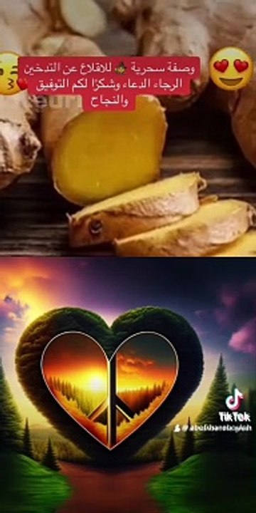 export_1701284043211