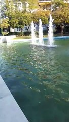 نافورة من الجنة : fountains