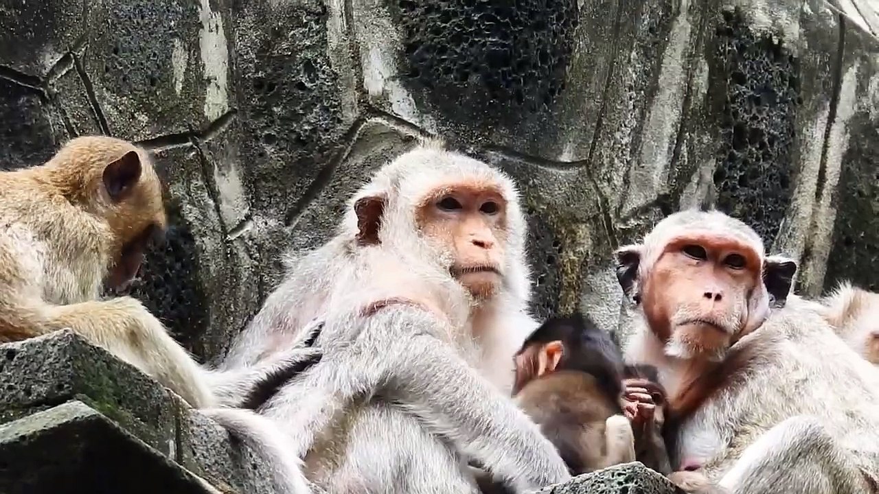 Look At Old Mothers Mekala And Barry Feel Sadness (720p_25fps_H264-192kbit_AAC)