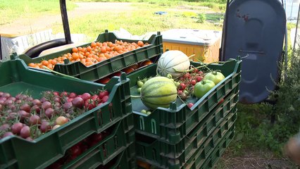 08 dec TOPO SL ferme agriculteur bovin