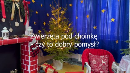 Zwierzę jako prezent pod choinkę. Dlaczego to zły pomysł?
