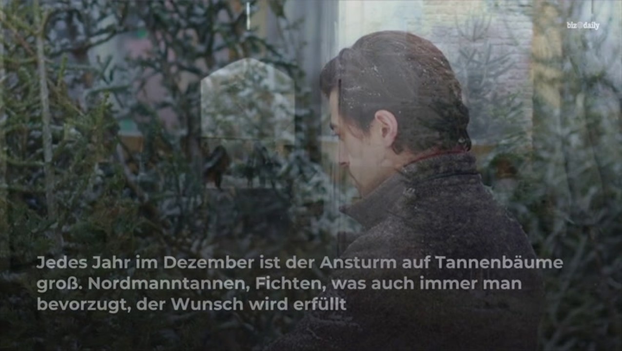 Künstlicher oder echter Weihnachtsbaum? DAS ist nachhaltiger video