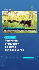 Potencian producción de carne con sello verde