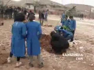 Gazilisesi agac dikiyor www.sanliurfa.com