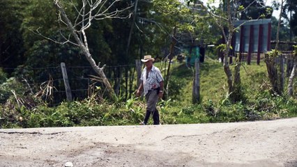 Colombia: Road To Peace | movie | 2020 | Official Trailer