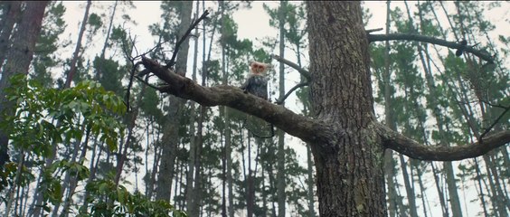 Personal Voice on iPhone: Preserve Your Voice for the Future 🎙️