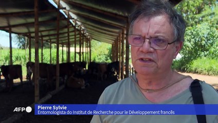 Fazenda Malunga: produção sustentável de orgânicos em Brasília